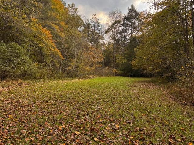 House for sale in Lamberts Store, Cedar Bluff