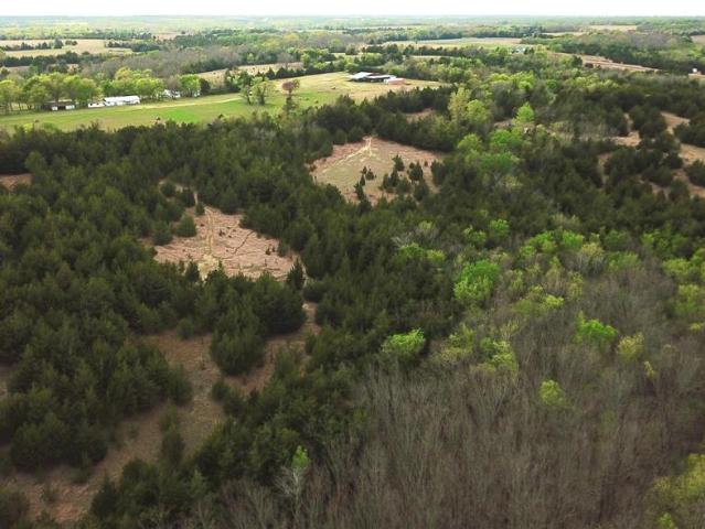 Land for sale in Fannin, Texas