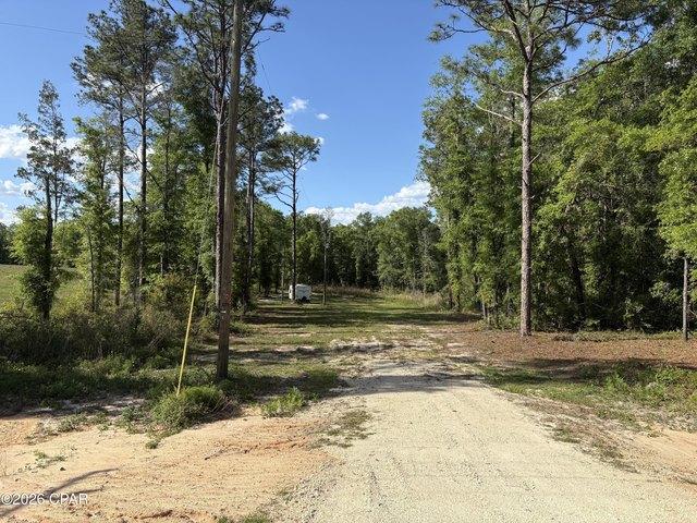 Land for sale in Bonifay, Florida