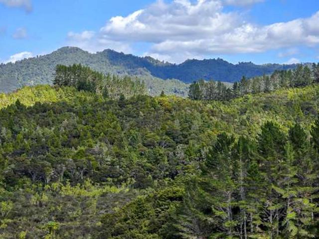 Property for sale in Whangaruru, Northland