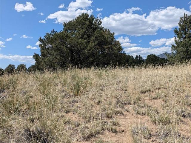 Land for sale in Crestone, Colorado