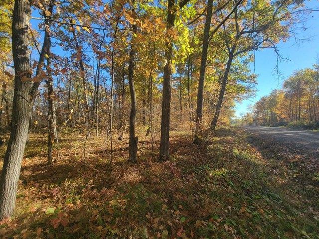 Land for sale in Isle, Mille Lacs County