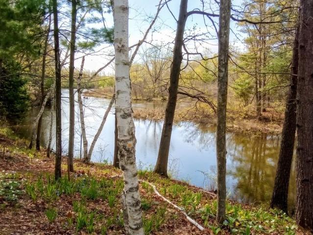 House for sale in Michigan