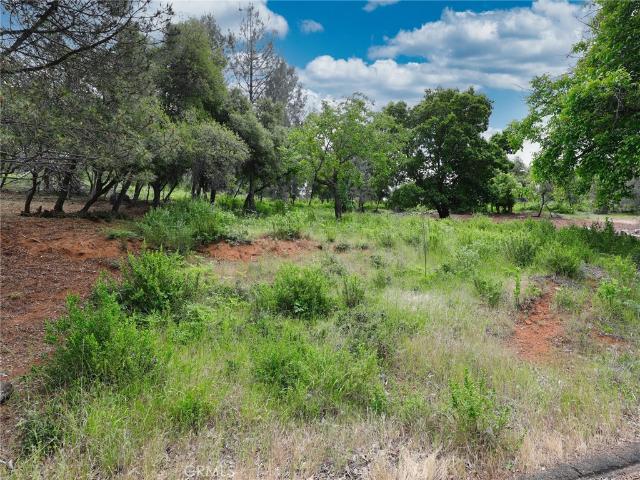 Land for sale in Kelseyville