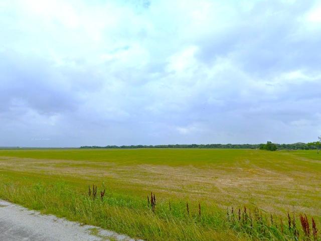Land for sale in Wharton, Texas