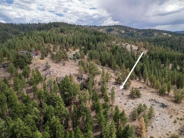 Land for sale in Portola Land for sale in Portola