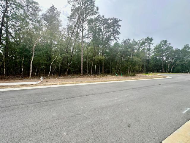 Land for sale in Niceville, Florida