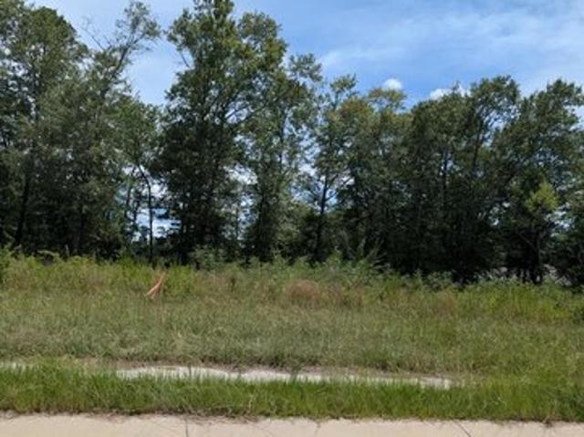 Land for sale in Dothan, Houston County
