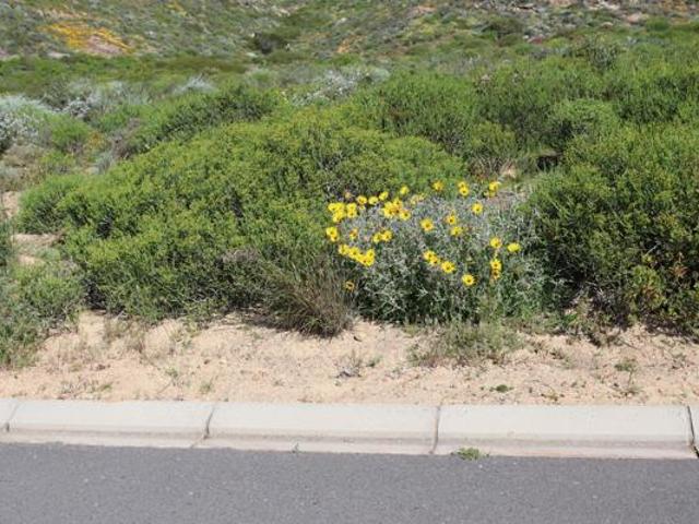 Land for sale in Western Cape