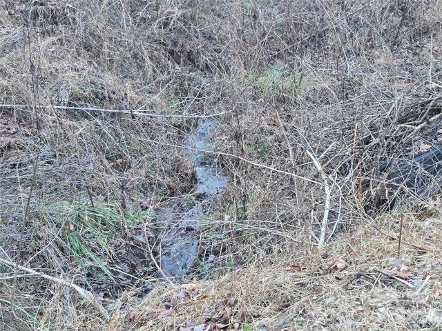 Land for sale in Bryson City, North Carolina