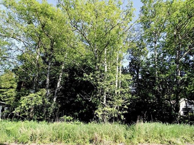Land for sale in Ocean Park, Washington