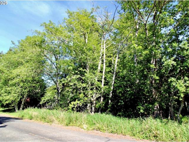 Land for sale in Ocean Park, Washington