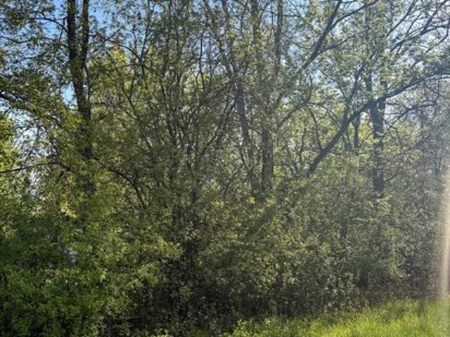 Land for sale in Waukegan, Illinois