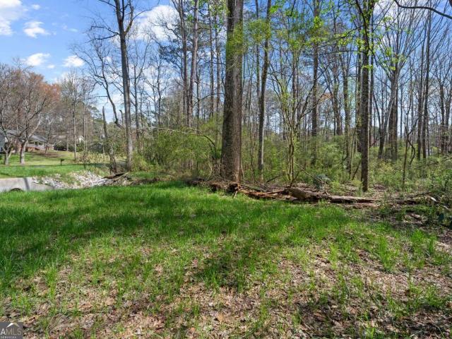 Land for sale in Snellville, Georgia