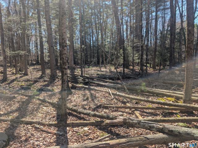 Land for sale in Torrington, Connecticut