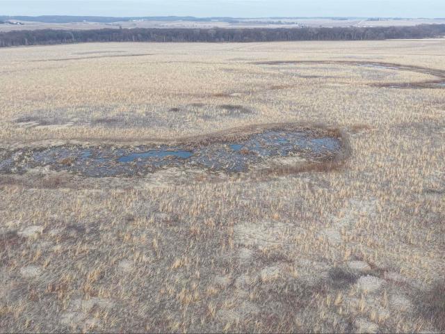 Land for sale in Parkersburg, Iowa