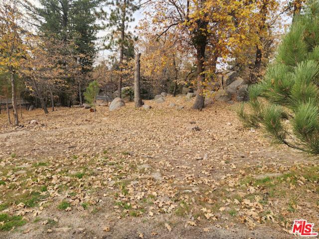 Land for sale in Green Valley Lake, California