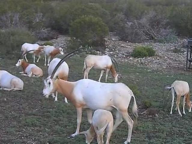 Farm for sale in Edwards, Texas