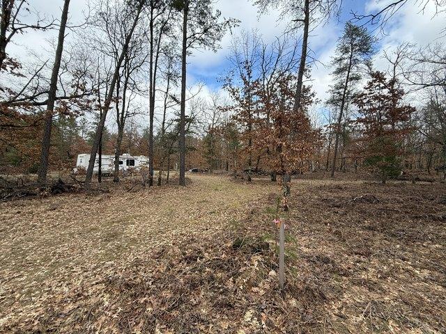 Land for sale in Baldwin, Michigan