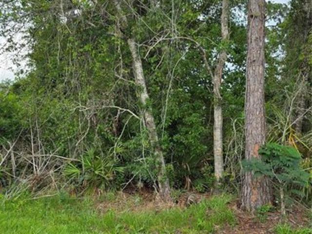 Land for sale in Deltona, Florida