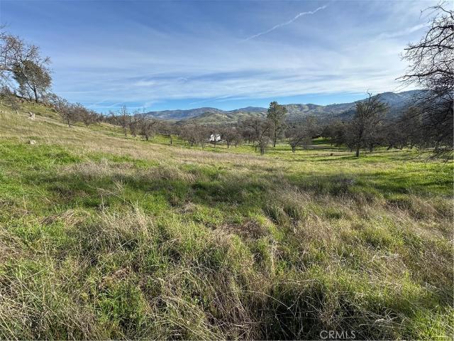Land for sale in California