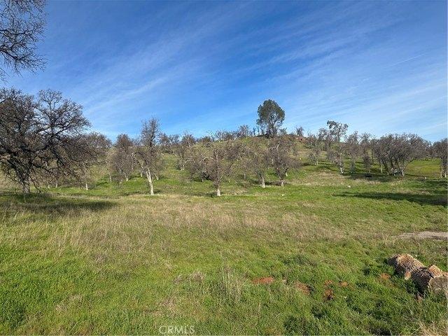Land for sale in Catheys Valley, California