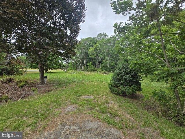 Land for sale in Frankford, Sussex County