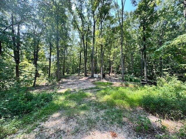 Land for sale in Ringgold, Catoosa County