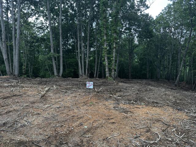 Land for sale in Tennessee