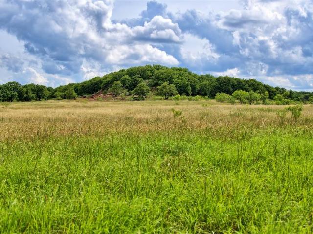 Land for sale in Saint Jo, Texas