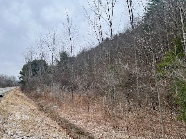 Land for sale in Van Etten, New York
