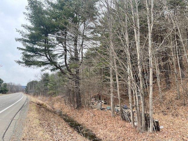 Land for sale in Van Etten, New York