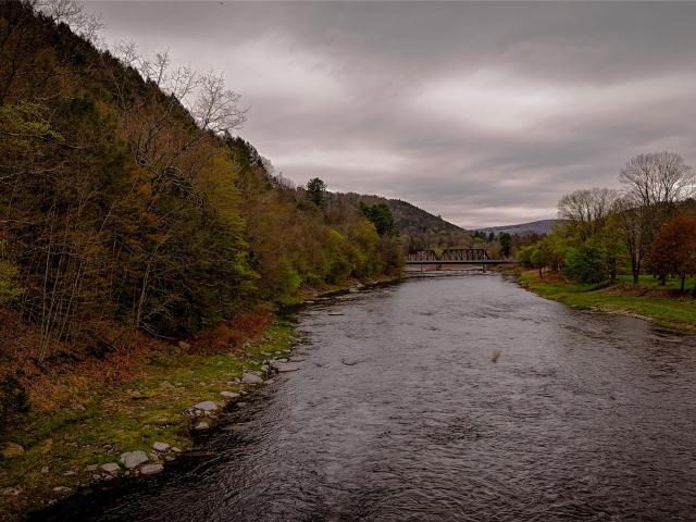 Land for sale in East Branch, New York