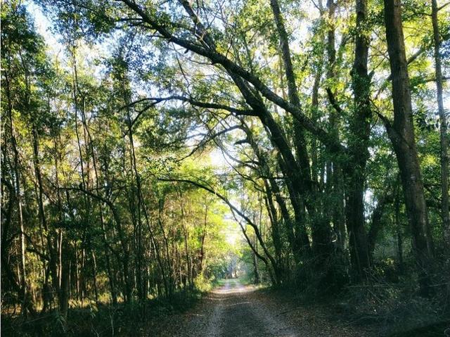 House for sale in Lake City, Florida