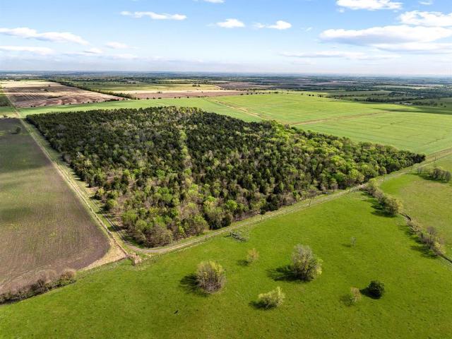 Land for sale in Delta, Texas
