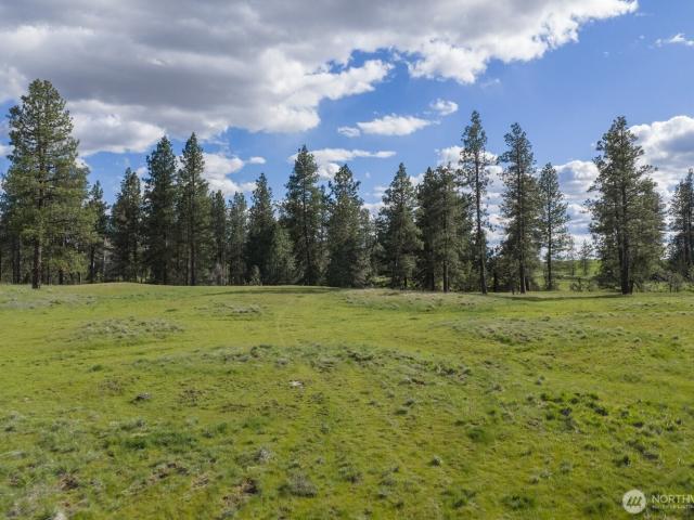 Land for sale in Spangle, Washington