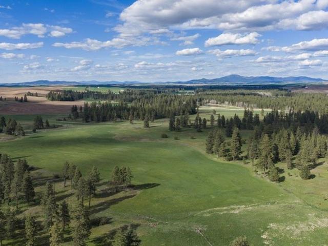 Land for sale in Spangle, Washington