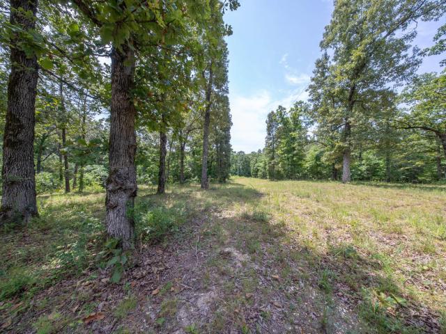 Land for sale in Alton, Missouri