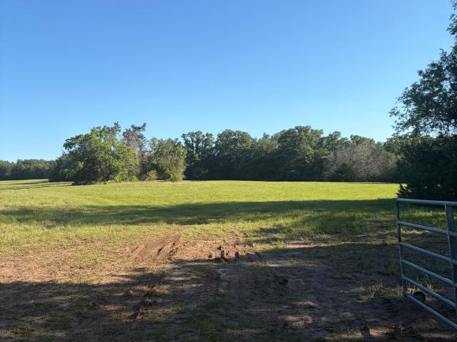 Land for sale in Leon, Texas