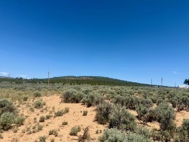 Land for sale in Los Ojos, New Mexico