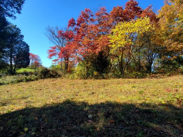 Land for sale in Kenton, Kentucky