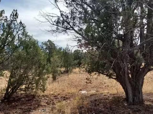 House for sale in Prescott Valley House for sale in Prescott Valley