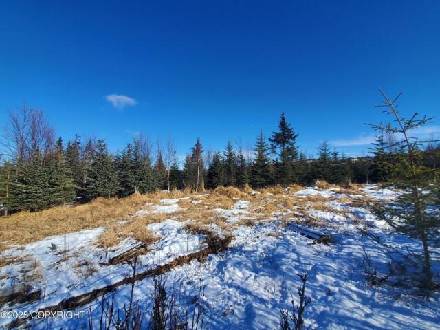 Land for sale in Anchor Point