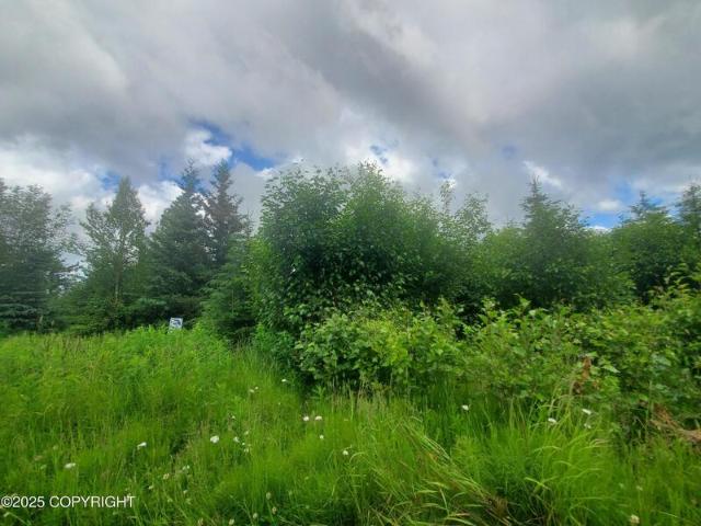 Land for sale in Anchor Point