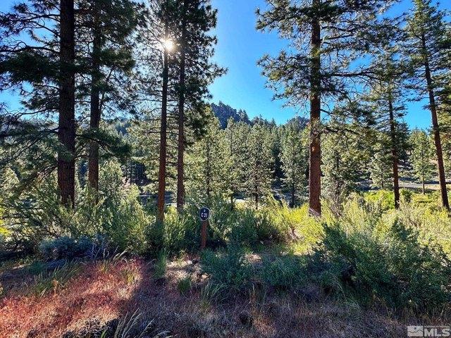 Land for sale in Carson City, Nevada