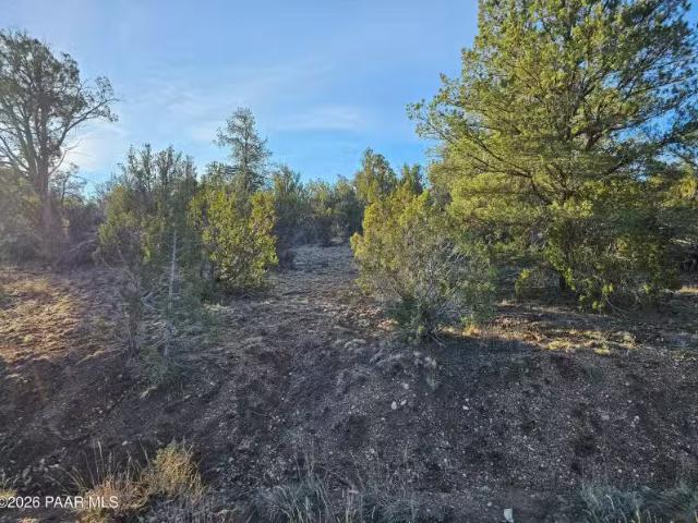 House for rent in Arizona