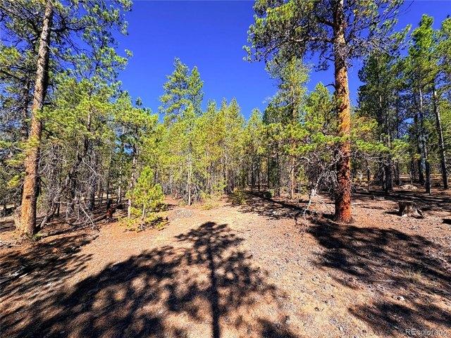 Land for sale in Leadville, Colorado