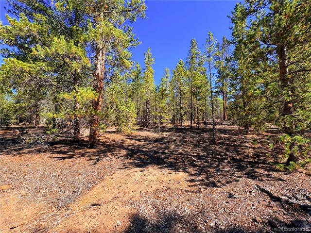 Land for sale in Leadville, Colorado