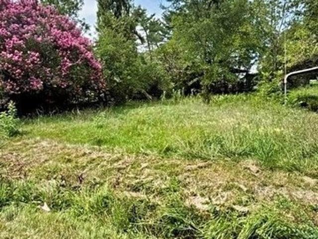 Land for sale in Blanch, North Carolina