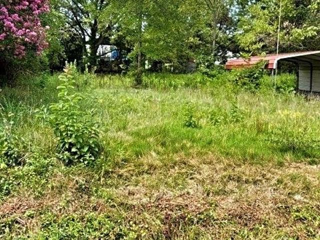 Land for sale in Blanch, North Carolina